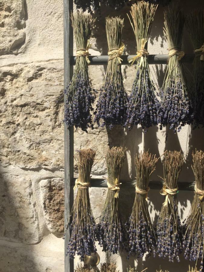 Suite Sur La Sorgue LʼIsle-sur-la-Sorgue Εξωτερικό φωτογραφία